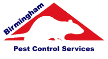 Birmingham Pest Control Service, professional pest control service for Birmingham, West Midlands and Sutton Coldfield. Wasp nest treatment or removal fixed price £45.00, contact us on  0121 450 9784 for more info.